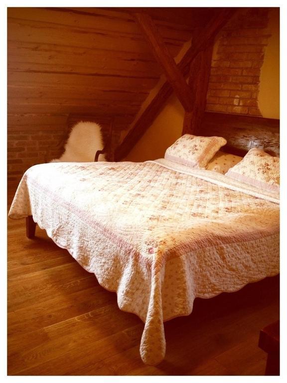 Dvur Olsiny -Hotel And Horse-Riding Karviná Habitación foto